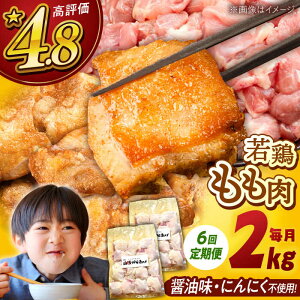 yӂ邳Ɣ[ŁzyS6ցzR炠iȂj2kg e 炠 2kg Ⓚ g g ٓ  ȒP  lC {  j쒬/R炠jX[ADAP007]
