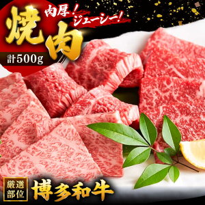 yӂ邳Ɣ[Łzaēp 500g Y Y  јa  Ă ē ₫ɂ BBQ o[xL[  i j j   j쒬/ MEAT PLUS[ADAQ009] 12000 