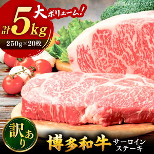 yӂ邳Ɣ[Łzy 󂠂 z a T[C Xe[L Zbg 5kg i250g×20j  Y Y  јa  Xe[L 킯 A j쒬/ MEAT PLUS[ADAQ028]