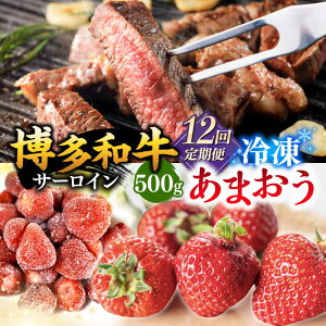 yӂ邳Ɣ[ŁzyւIׂzy󂠂za T[CXe[L  ܂ Zbg1.3kg Y Y  јa Ⓚ ܂C`S  j쒬/ MEAT PLUS[ADAQ0