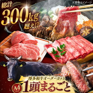 yӂ邳Ɣ[ŁzyꓪۂƃI[_[Iz a ꓪHאsZbg  I[_[Ch Ԑg 󏭕  ґ ꓪ j쒬/ MEAT PLUS[ADAQ099] 9990000 9990000