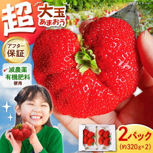 yӂ邳Ɣ[Łzys\z ܂ 320g×2pbN At^[ۏ ܂ C`S  Â ܂ ① Y Mtg 蕨 Yn VN ʕ ō 傫 j쒬/|[A