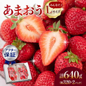 yӂ邳Ɣ[ŁzyAt^[ۏ؁zy1{菇zz܂ LTCY 320g×2pbN ܂ ̉l C`S  Â ܂ ① Y  Mtg蕨 Yn VN ʕ 