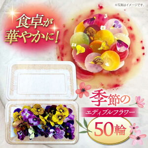 yӂ邳Ɣ[ŁzG߂̃GfBut[50ւ܂ K[jbV Hp  Hׂ nY   j쒬/NOGAMI@FARM[ADAU001] 7000 7000~
