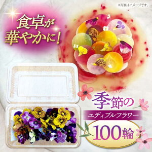 yӂ邳Ɣ[ŁzG߂̃GfBut[100ւ܂ K[jbV Hp  Hׂ nY   j쒬/NOGAMI@FARM[ADAU002] 9000 9000~