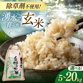 【ふるさと納税】玄米 5kg 10kg 20kg ノガミファームの玄米 ▼米 玄米 人気 福岡県産 九州 米 お米 ご飯 ごはん ゴハン 農家直送 5キロ 10キロ 20キロ 桂川町/NOGAMI FARM[ADAU008] 10000円 以上 1万円 以上