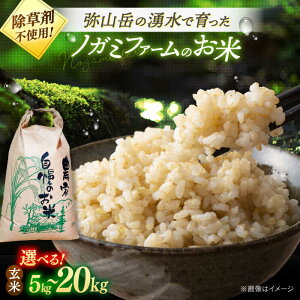 yӂ邳Ɣ[ŁzyV ߘa7NYz 5kg 10kg 20kg mK~t@[̌   lC LO ] Y B     ͂ Sn đO  _ƒ 5kg 10