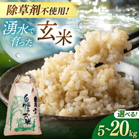 【ふるさと納税】玄米 5kg 10kg 20kg ノガミファームの玄米 ▼米 玄米 人気 福岡県産 九州 米 お米 ご飯 ごはん ゴハン 農家直送 5キロ 10キロ 20キロ 桂川町/NOGAMI FARM[ADAU008] 10000円 以上 1万円 以上