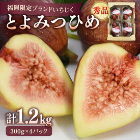 【ふるさと納税】【先行受付】【2026年8月発送開始】JAふくおか嘉穂 いちじく とよみつひめ 秀品 1.2kg イチジク 無花果 300g×4パック ▼ 国産 福岡限定 福岡 フルーツ 果物 いちぢく ギフト プレゼント 桂川町/福岡嘉穂農業協同組合[ADAY001] 10000 10000円 1万円 以上
