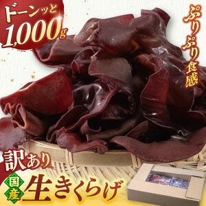 yӂ邳Ɣ[ŁzY 炰 1kg ؎ LNQ Y 󂠂 A 킯 PA AEgbg p 炰 LNQ ؎ {YLNQ e 炰Y 