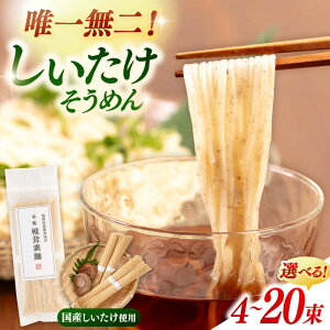 yӂ邳Ɣ[Łzf 4 or 20   ߂ f VC^P ő ߂  ő  o`   N wV[@j쒬/Ih[ADBA008]10000 10000~ 