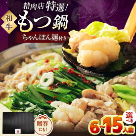 【ふるさと納税】【博多久田】和牛もつ鍋セット 6~15人前 （ちゃんぽん麺あり） 桂川町/久田精肉店[ADBM173] 10000 以上 10000円 以上 1万円 以上