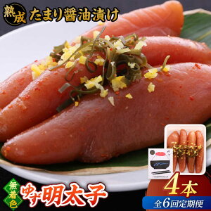 yӂ邳Ɣ[ŁzyS6ցzn ܂ݖЂ F 䂸q 4{(280g)   lC ] ґ J  LO  j쒬/LЃtBbV[}Y
