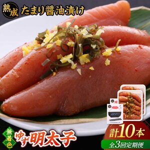 yӂ邳Ɣ[ŁzyS3ցzn ܂ݖЂ F 䂸q 10{(700g)   lC ] ґ J  LO  j쒬/LЃtBbV[}Y