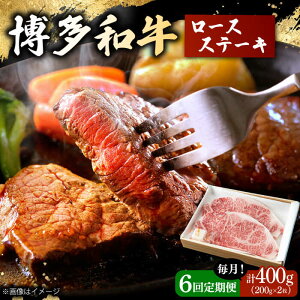 yӂ邳Ɣ[Łzy6ցz a [XXe[L v400g 200g×2 a    lC LO ]   ԗi   Ƒ R~ H  ґ j쒬/