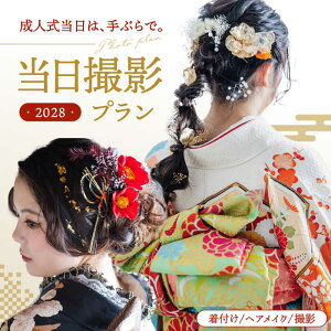 yӂ邳Ɣ[Łzystzy2028NɐlT̕zl Bev@j쒬/studio.FELIZ[ADBU001] 1000000 1000000~ 100~ ȉ