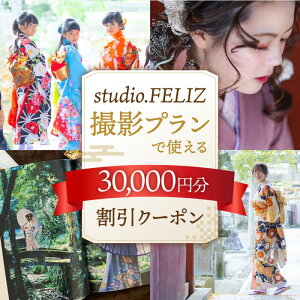 yӂ邳Ɣ[ŁzBevŎg30,000~N[|  t CN   ʐ^ LO j ܎O l j쒬/studio.FELIZ[ADBU006]