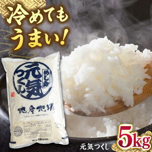 yӂ邳Ɣ[ŁzYuh  C 5kg      B   j쒬/썑t[c[ADBW026] 20000 20000~