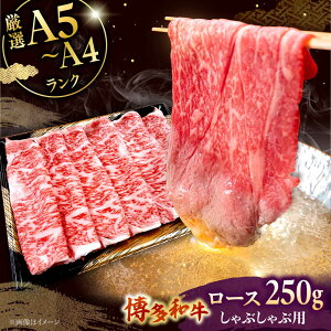 yӂ邳Ɣ[Łzyʌ az[X Ԃԗp 250g  Y    ₫ Ă A4 A5 uh јa Ⓚ Ⓚz j쒬/Ѓ`N[[ADBZ041]