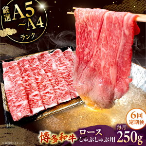 yӂ邳Ɣ[ŁzyS6ցzyʌ az[X Ԃԗp 250g    a ɏ o[xL[ uh Y  ]  ㎿ j쒬/Ѓ`N[[AD
