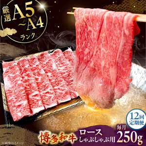 yӂ邳Ɣ[ŁzyS12ցzyʌ az[X Ԃԗp 250g    a ɏ o[xL[ uh Y  ]  ㎿ j쒬/Ѓ`N[[A