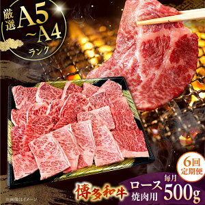yӂ邳Ɣ[ŁzyS6ցzyʌ az[X ēp 500g    a ɏ o[xL[ uh Y  ]  ㎿ j쒬/Ѓ`N[[ADBZ047]