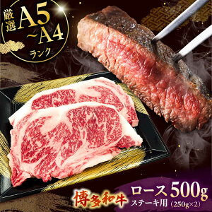 yӂ邳Ɣ[ŁzyNzyʌ az[XXe[Lp v500g 2   [X  Xe[L јa uh Y BBQ Xe[L a j쒬/Ѓ`N[[ADBZ04