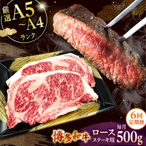 yӂ邳Ɣ[ŁzyS6ցzyʌ az[XXe[Lp v500g 2    a ɏ o[xL[ uh Y  ]  ㎿ j쒬/Ѓ`N[