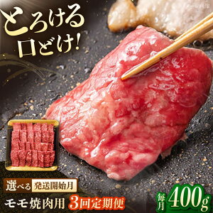 yӂ邳Ɣ[Łzy3ցzaēp@400g ē   a   j쒬/JAS_~[gt[Y[ADCB016]