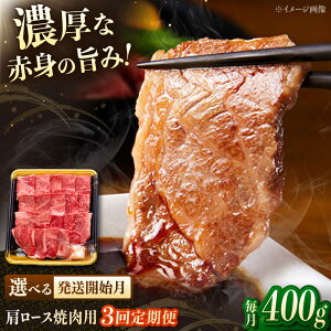 yӂ邳Ɣ[Łzy3ցza[Xēp@400g@ē ₫ɂ [X [X [X a j쒬/JAS_~[gt[Y[ADCB020]
