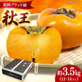 【ふるさと納税】秋の贅沢、濃厚であま〜い柿の新ブランド「秋王」約3.5kg/2026年10月〜11月より発送予定 ▼柿 フルーツ 果物 くだもの 先行予約 先行受付 福岡 　　桂川町/一般社団法人地域商社ふるさぽ[ADCF010]