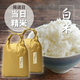 【ふるさと納税】＜発送日当日精米＞福岡県産【特A】評価のお米「元気つくし」白米 10kg（5kg×2袋） | 楽天ふるさと納税 米 お米 こめ 白米 ブランド米 ごはん ご飯 元気つくし 10kg おにぎり お弁当 食品 福岡県産 国産 送料無料