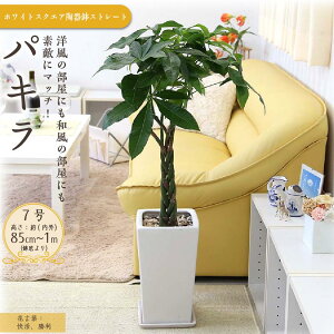 yӂ邳Ɣ[Łz_ŒZ7`14cƓȓ^pLTCY ̎ޑI | yVӂ邳Ɣ[ O[  CeA  bNX }CiXCI R   v[