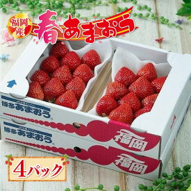 【ふるさと納税】＜内容量が選べる＞【先行予約 2026年2月上旬以降発送】福岡産あまおう【春】 | 福岡の名物苺！あかい・まるい・おおきい・うまい「あまおう」！苺 いちご フルーツ 果物 くだもの 食品 人気 おすすめ 送料無料