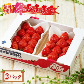 【ふるさと納税】＜内容量が選べる＞【先行予約 2025年12月上旬以降発送】福岡産あまおう【冬】 | 福岡の名物苺！あかい・まるい・おおきい・うまい「あまおう」！苺 いちご フルーツ 果物 くだもの 食品 人気 おすすめ 送料無料