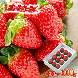【ふるさと納税】＜内容量が選べる＞【先行予約 2025年12月上旬以降発送】福岡産あまおう ギフト箱 | 福岡の名物苺！あかい・まるい・おおきい・うまい「あまおう」！苺 いちご フルーツ 果物 くだもの 食品 人気 おすすめ 送料無料
