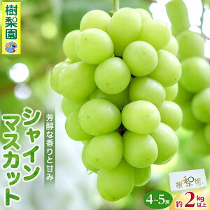 yӂ邳Ɣ[Łzy2026Ns\zVC}XJbg}OYy1kg`2kg܂ł̓eʂI\z | VC}XJbg }XJbg Ԃǂ     Ԍ l