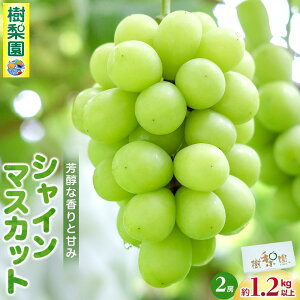 yӂ邳Ɣ[ŁzVC}XJbg}OYy1kg`2kg܂ł̓eʂI\z 8{珇 | VC}XJbg }XJbg Ԃǂ     Ԍ