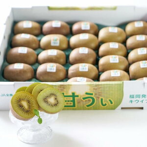yӂ邳Ɣ[ŁzYuÂv3kg(24-33)y}Oz | t[c ʕ    Hi lC  