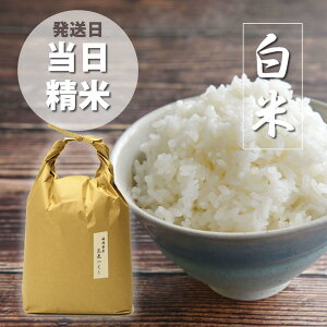 yӂ邳Ɣ[Łzyāzߘa6NYYyAz]̂āuCv5kg×1 [5kg] [] |     ͂ C uh ֗ 5L 5kg { ɂ 