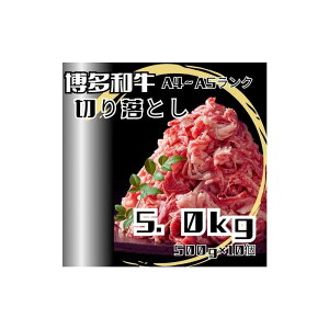 yӂ邳Ɣ[ŁzaA4Nȏ؂藎Ƃ@󂠂I@5.0kgi500g×10j |   ɂ a Hi Mtg