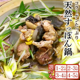 【ふるさと納税】天然すっぽん鍋【 1 ～ 2 人前 ・ 2 ～ 3 人前 ・ 3 ～ 4 人前 ・ 4 ～ 5 人前 】 | すっぽん スッポン 鼈 肉 鍋 なべ コラーゲン お取り寄せ 取寄せ 天然 美容 健康 免疫 スープ 道の駅 食品 人気 おすすめ 送料無料