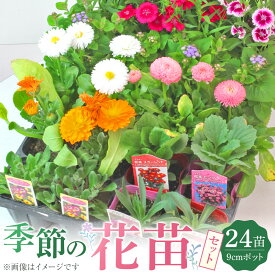 【ふるさと納税】【年内発送】季節の花苗24苗セット | フラワー 植物 花 はな 花苗 プラント ギフト プレゼント 人気 おすすめ 送料無料