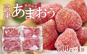 yӂ邳Ɣ[Łzys\ 2026N4ȍ~zYⓀ܂500g×4܁y}Oz | t[c ʕ    Hi lC  