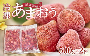 yӂ邳Ɣ[Łzys\ 2026N4ȍ~zYⓀ܂500g×2܁y}Oz | t[c ʕ    Hi lC  