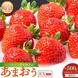 【ふるさと納税】【先行予約 2026年1月以降発送】ふくおかエコ農産物認証!! あまおうEXサイズ 贈答用 約500g（約250×2パック）＜筑前町＞ | フルーツ 果物 くだもの 食品 人気 おすすめ 送料無料