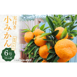 �y�ӂ邳�Ɣ[�Łz�s ���t�� �t ���݂��� �i �I�B�݂��� �j �ڂ��ؕc 6�����A��