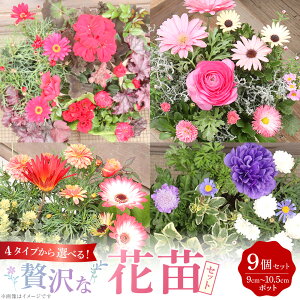 �y�ӂ邳�Ɣ[�Łz�y�I�ׂ�Z�b�g�z4�^�C�v����I�ׂ�I�ґ�ȉԕc�Z�b�g