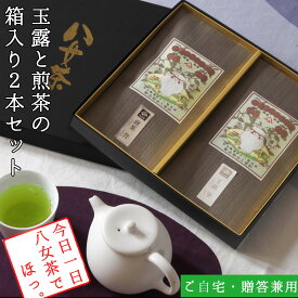 【ふるさと納税】許斐本家14代目おススメの玉露と特撰煎茶の化粧箱入り2本詰合せ【八女茶老舗　創業300年余】（ギフト対応） | 楽天ふるさと 納税 取り寄せ 銘茶 福岡銘茶 お取り寄せ 茶 お茶 おちゃ 人気 おすすめ ソフトドリンク 飲料 常温 送料無料
