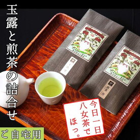 【ふるさと納税】許斐本家14代目おススメの玉露と特撰煎茶2本詰合せ【八女茶老舗　創業300年余】（ご自宅用） | 楽天ふるさと 納税 取り寄せ 銘茶 福岡銘茶 お取り寄せ 茶 お茶 おちゃ 人気 おすすめ ソフトドリンク 飲料 常温 送料無料
